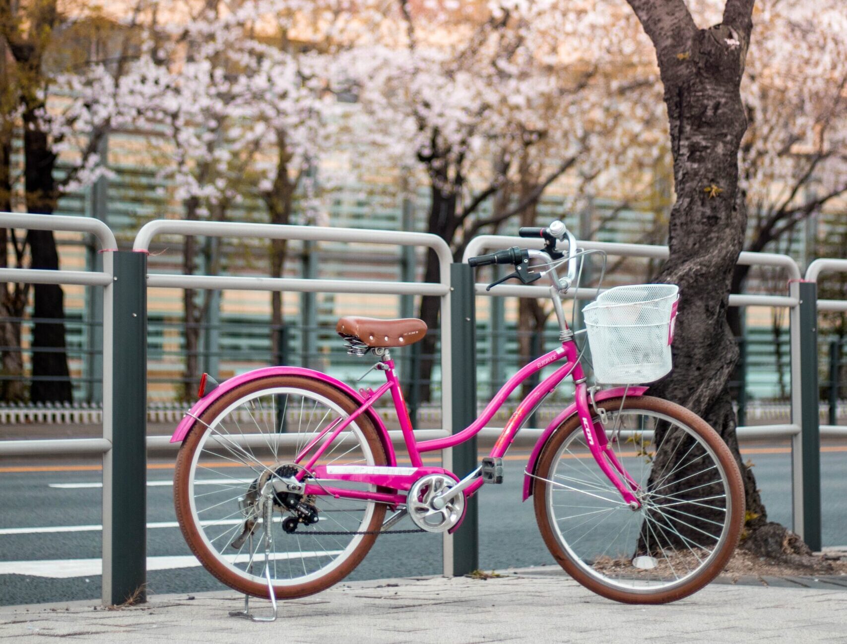 4才5才がキー？！ファースト自転車を買うベストなタイミングとは。ストライダーとの関係は？